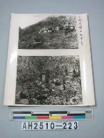藏品(交城石壁山玄中寺)的圖片